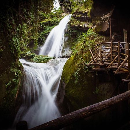 La Veranda Fregona Bagian luar foto